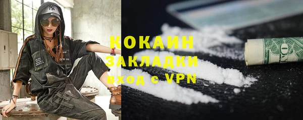 кокс Алексин