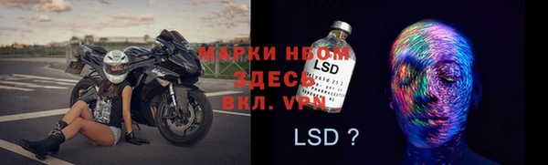 мяу мяу мука Алзамай