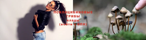 кокс Алексин