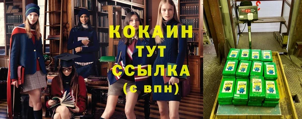кокс Алексин
