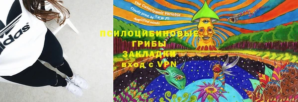 кокс Алексин