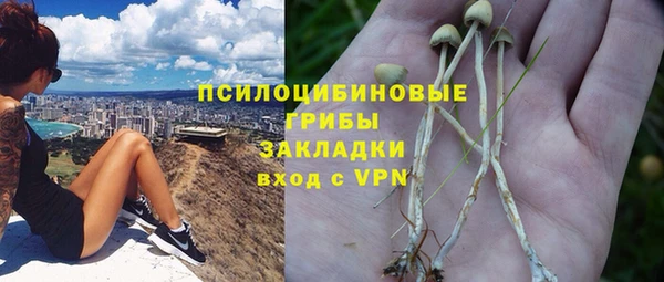 кокс Алексин