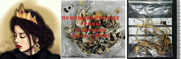 хмурый Алексеевка